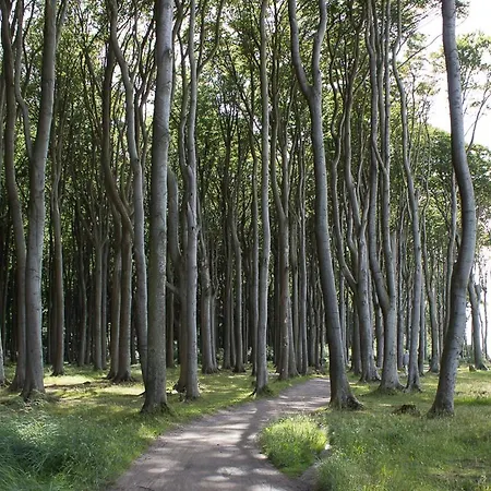 Seehase Hébergement de vacances Nienhagen