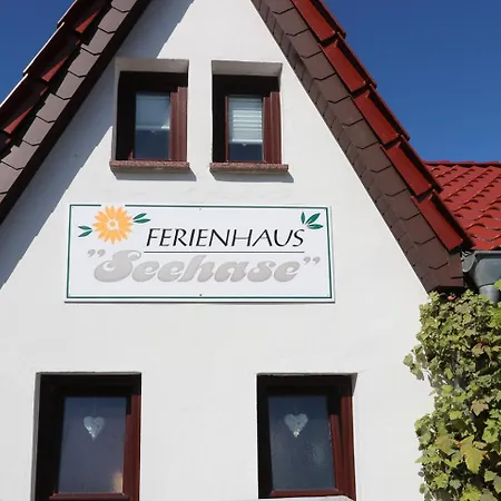 Seehase Ostseebad Nienhagen